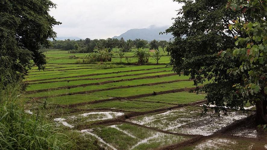 21-sri lanka_08